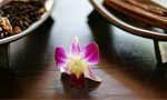 三亚财富海(hǎi)湾(wān)大酒店SPA中心(xīn)